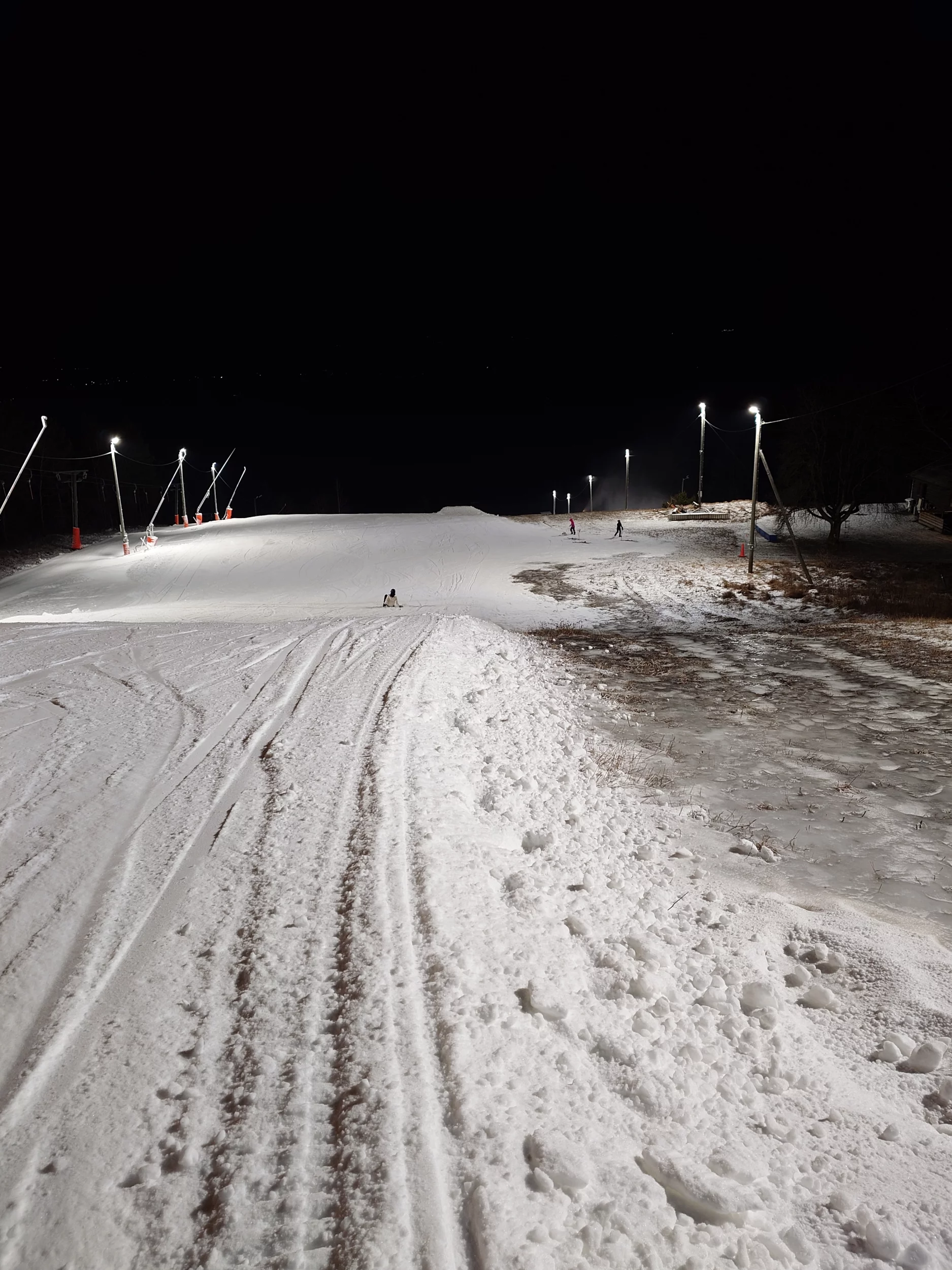 1000008806.webp