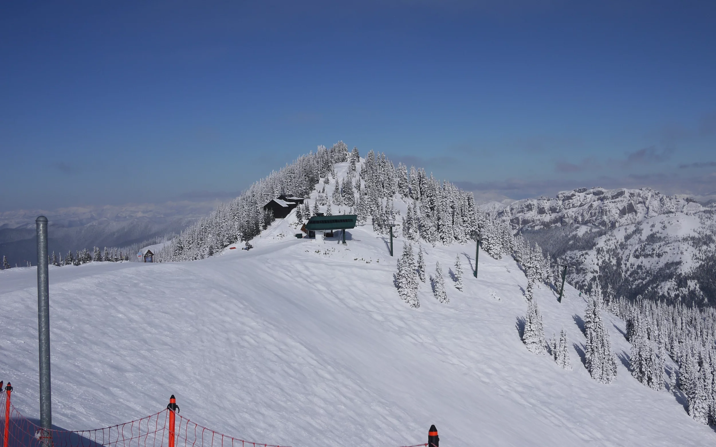1000010505.webp