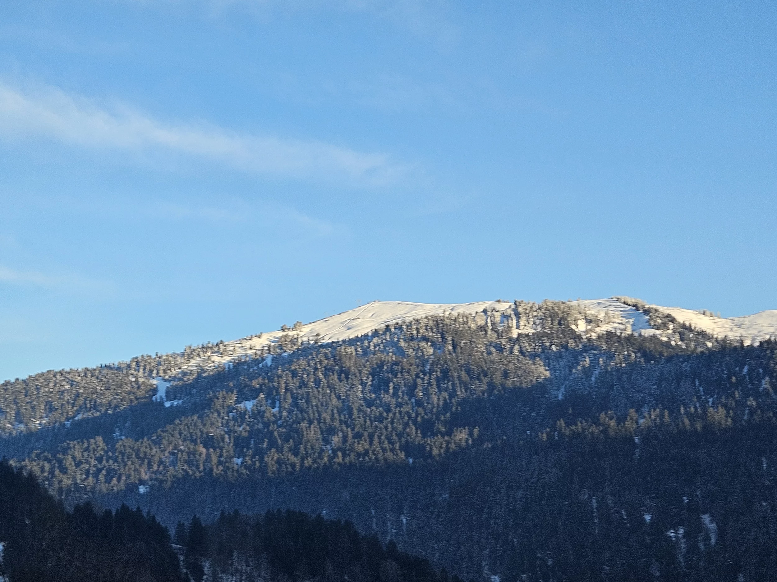 1000011755.webp