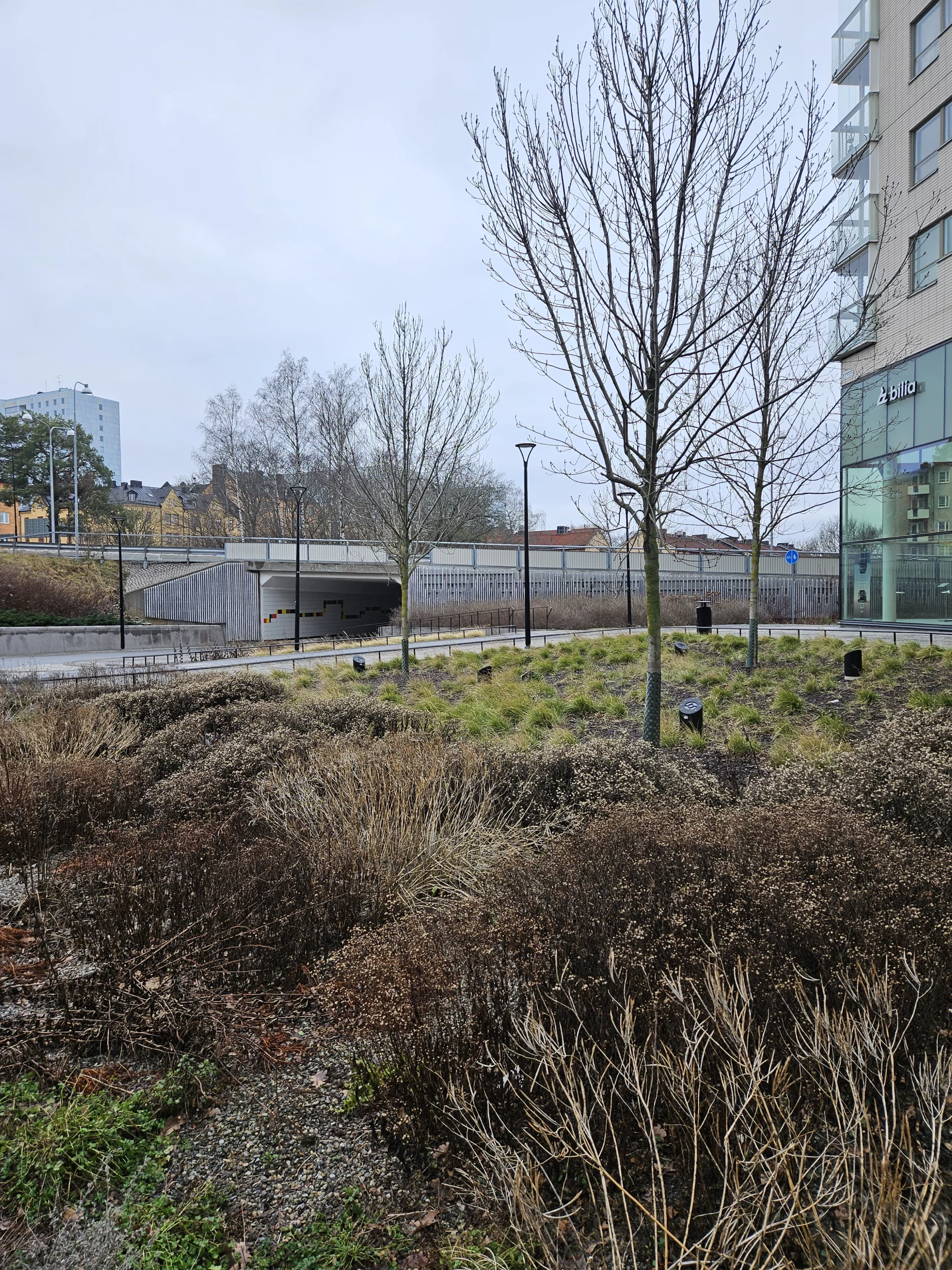 1000012503.webp