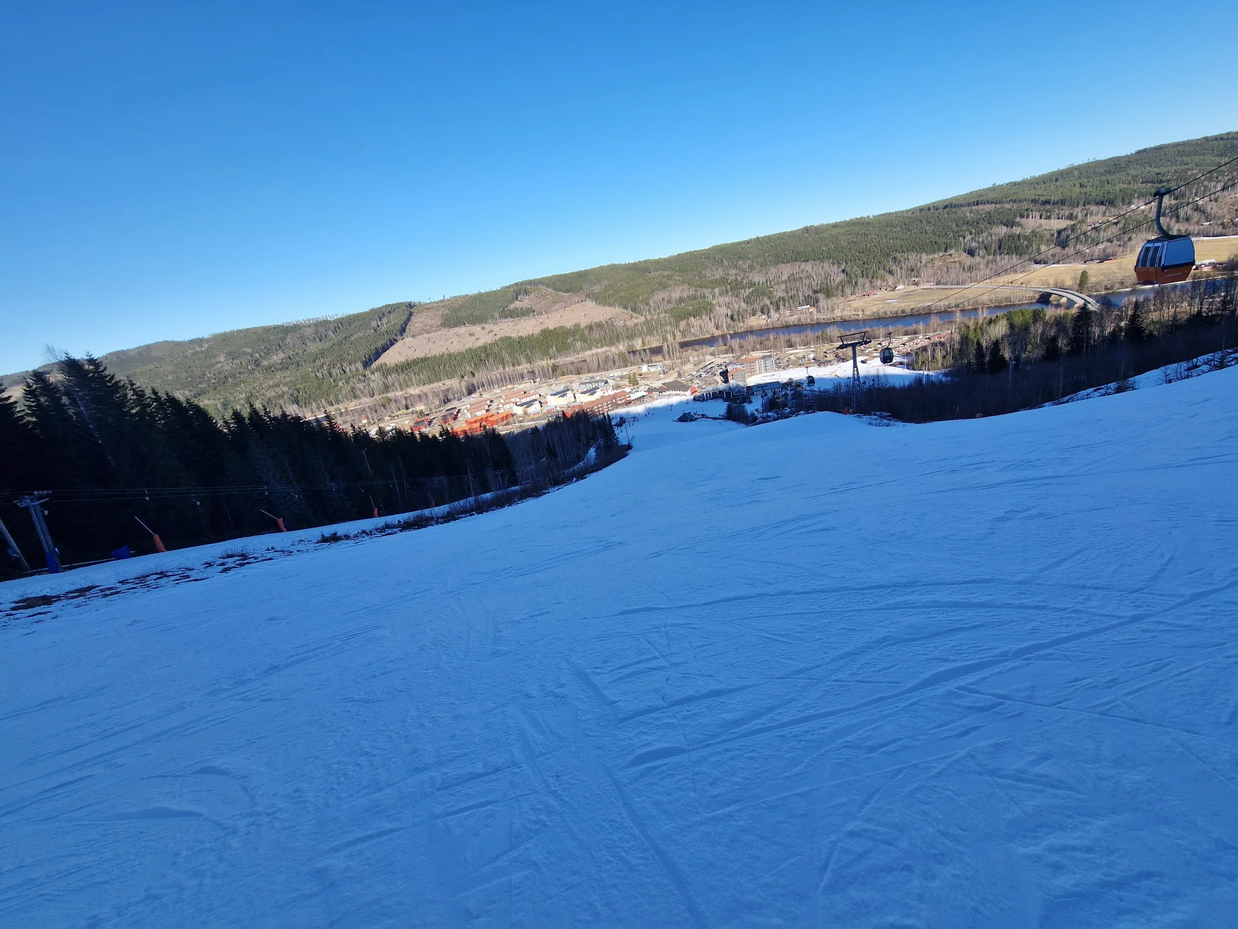 1000050862.webp