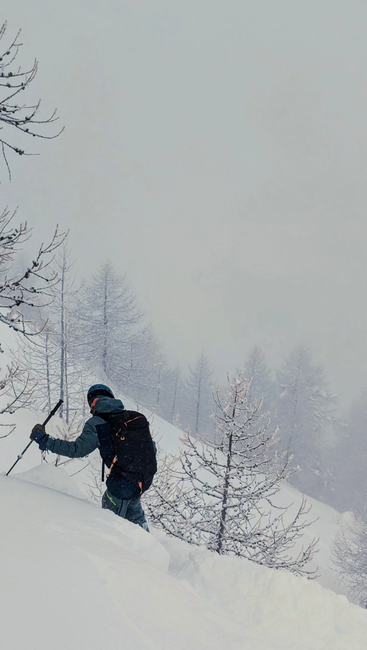1000090223.webp