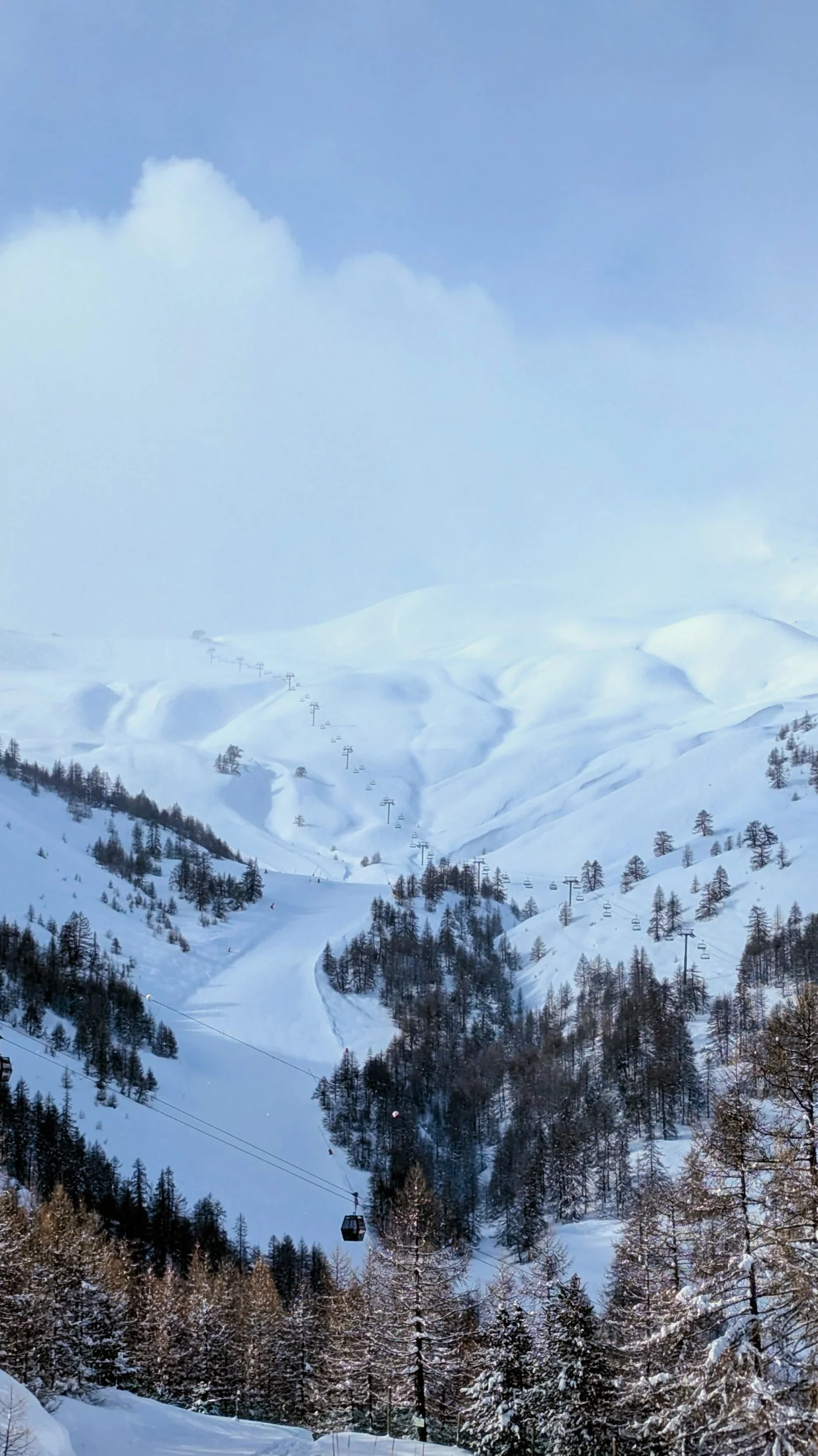 1000090374.webp