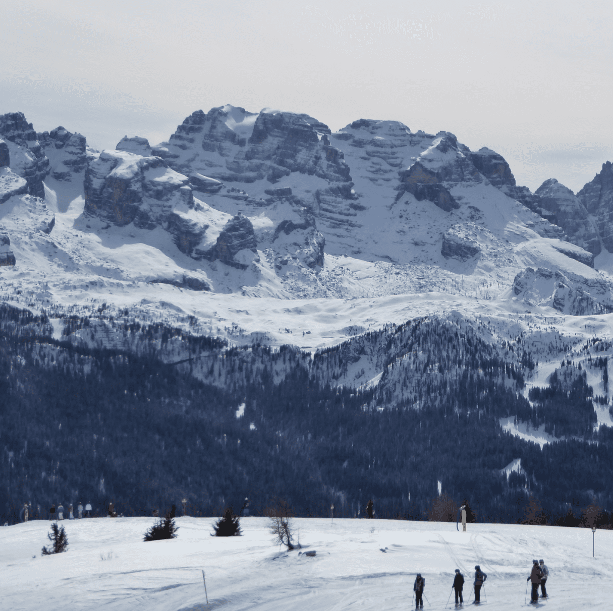 1612698236159.png
