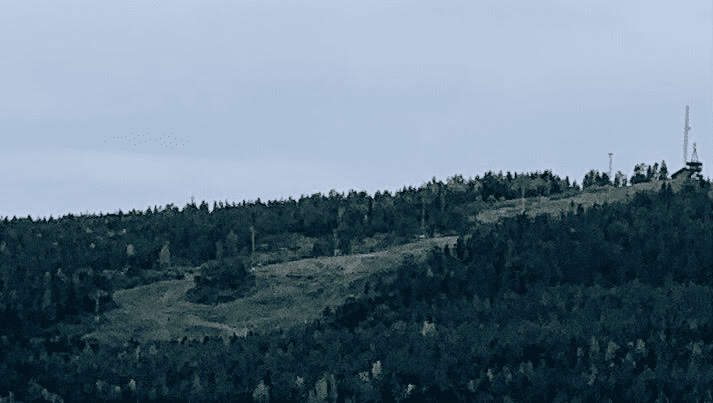 1629449511375.png