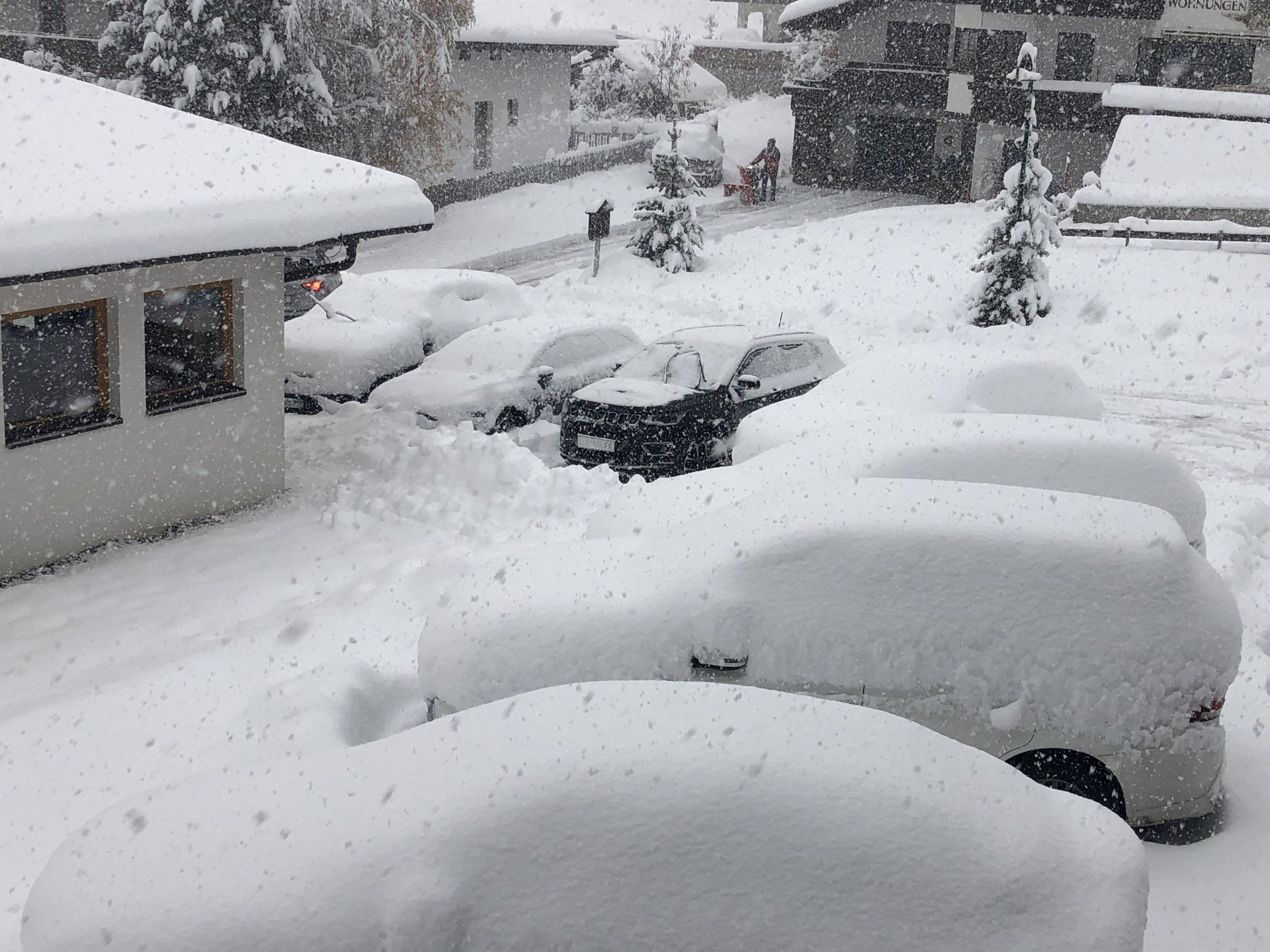1636010223008.jpeg