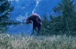 1643041530147.png
