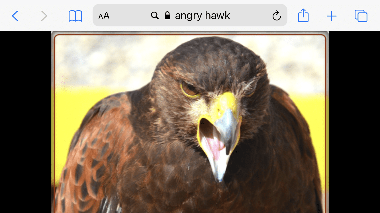 1660846649618.png
