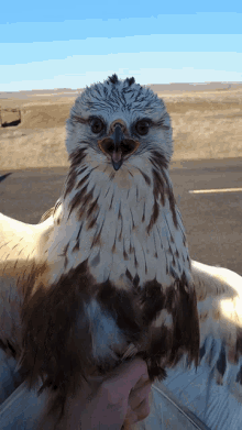 1669876809149.gif
