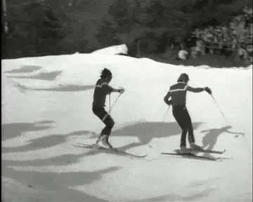 1680166363890.gif