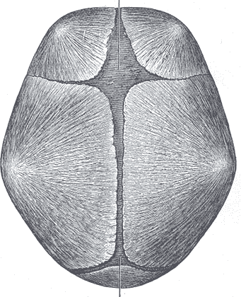 1695913016813.png