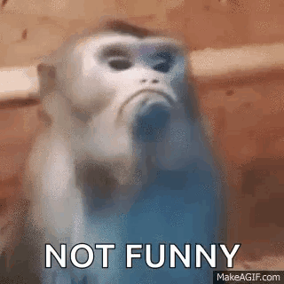 1722330148977.gif