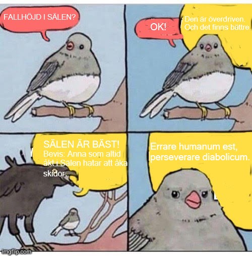 1731078792743.jpeg