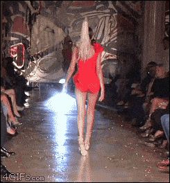 1734296155602.gif