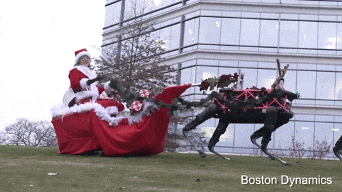 1734370038444.gif