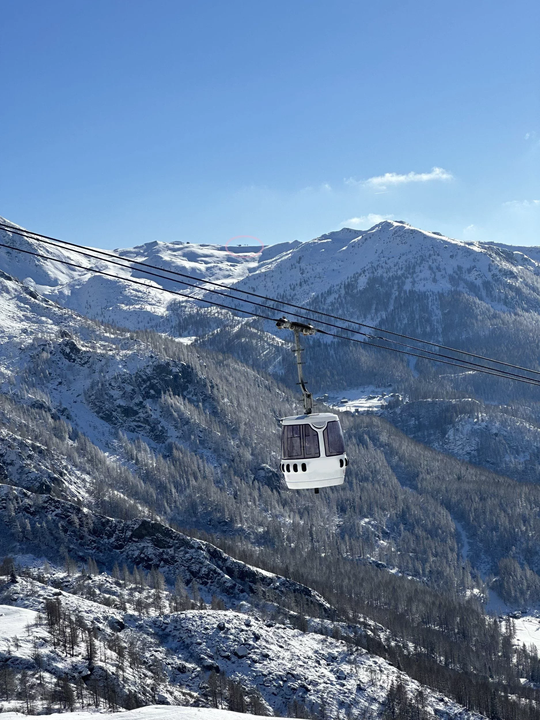 1740066239373.webp