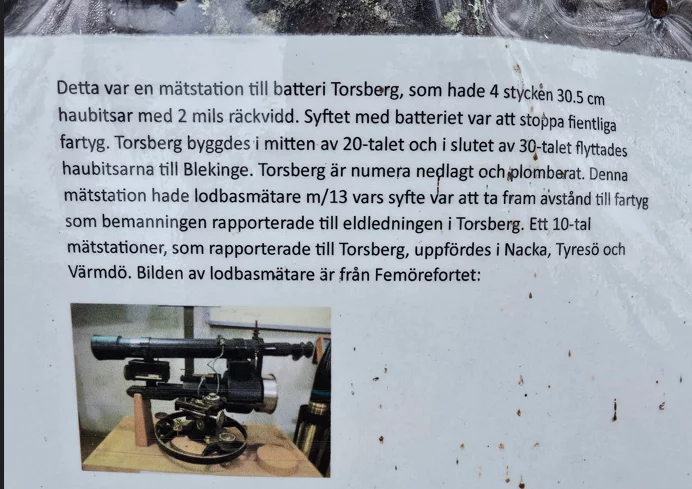 1763195431949.webp