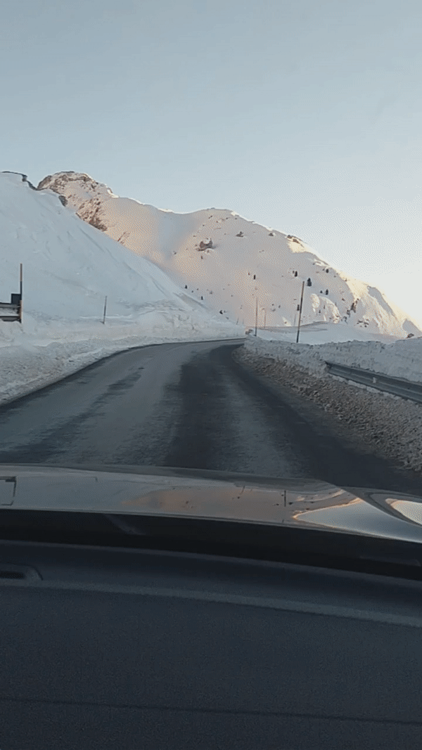 18231020112762617506.gif