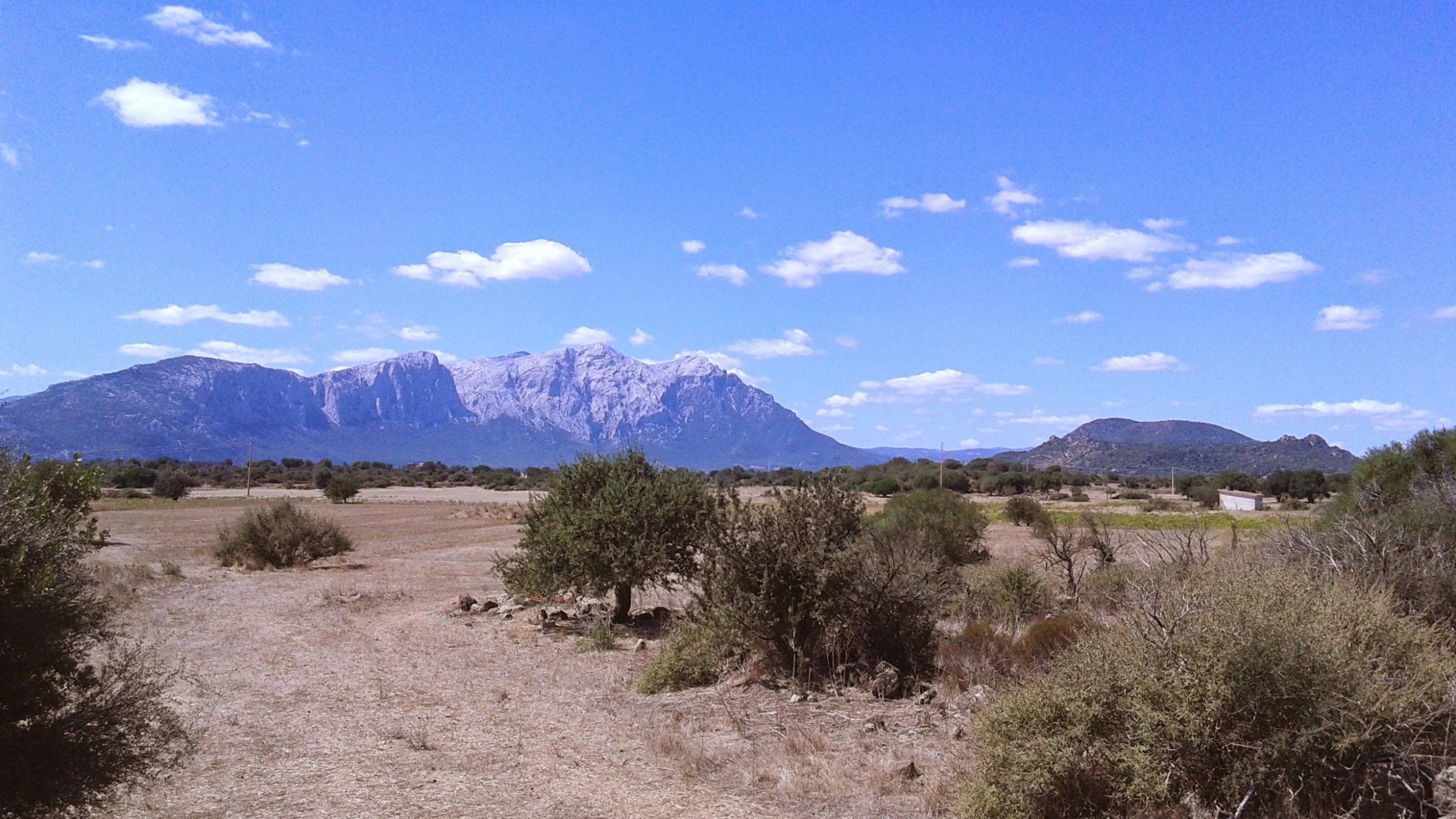 20140815_114646.jpg
