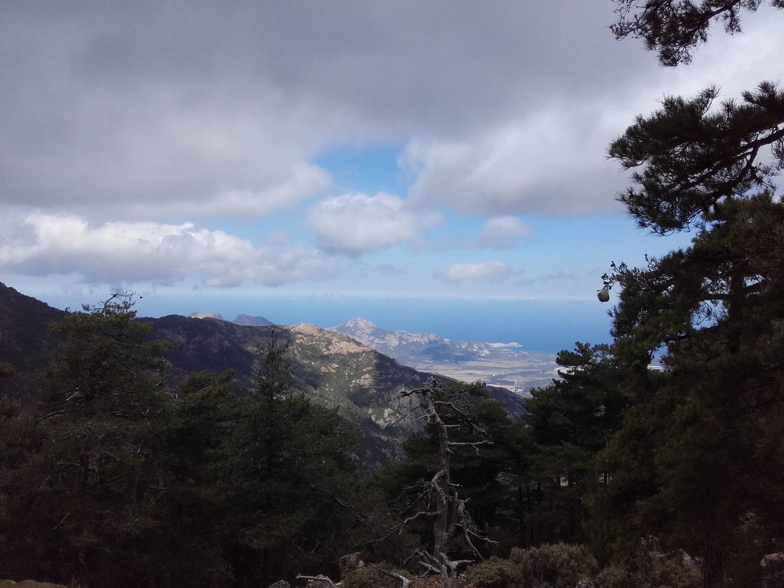 20160427_113515.jpg