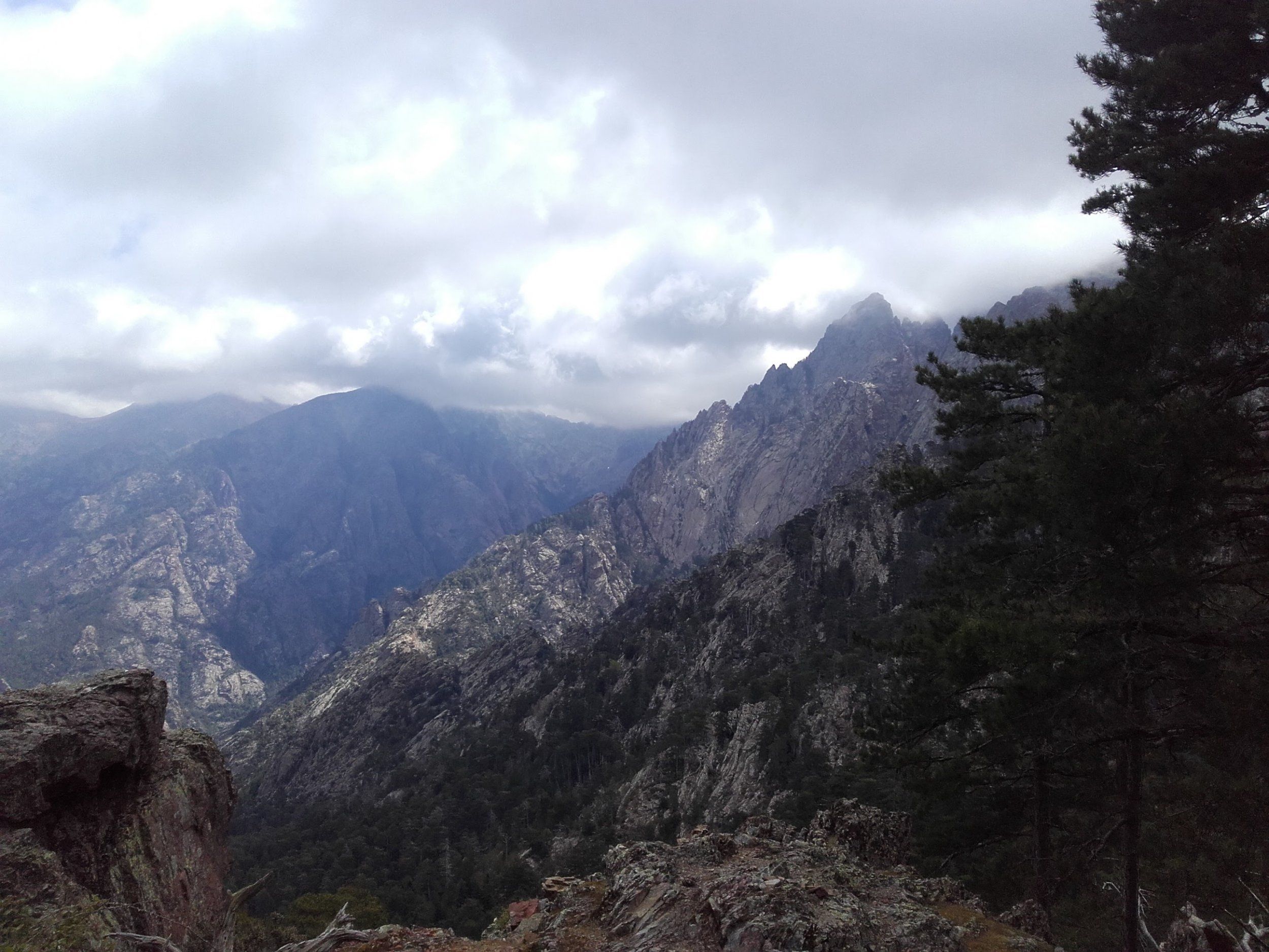 20160427_114413.jpg