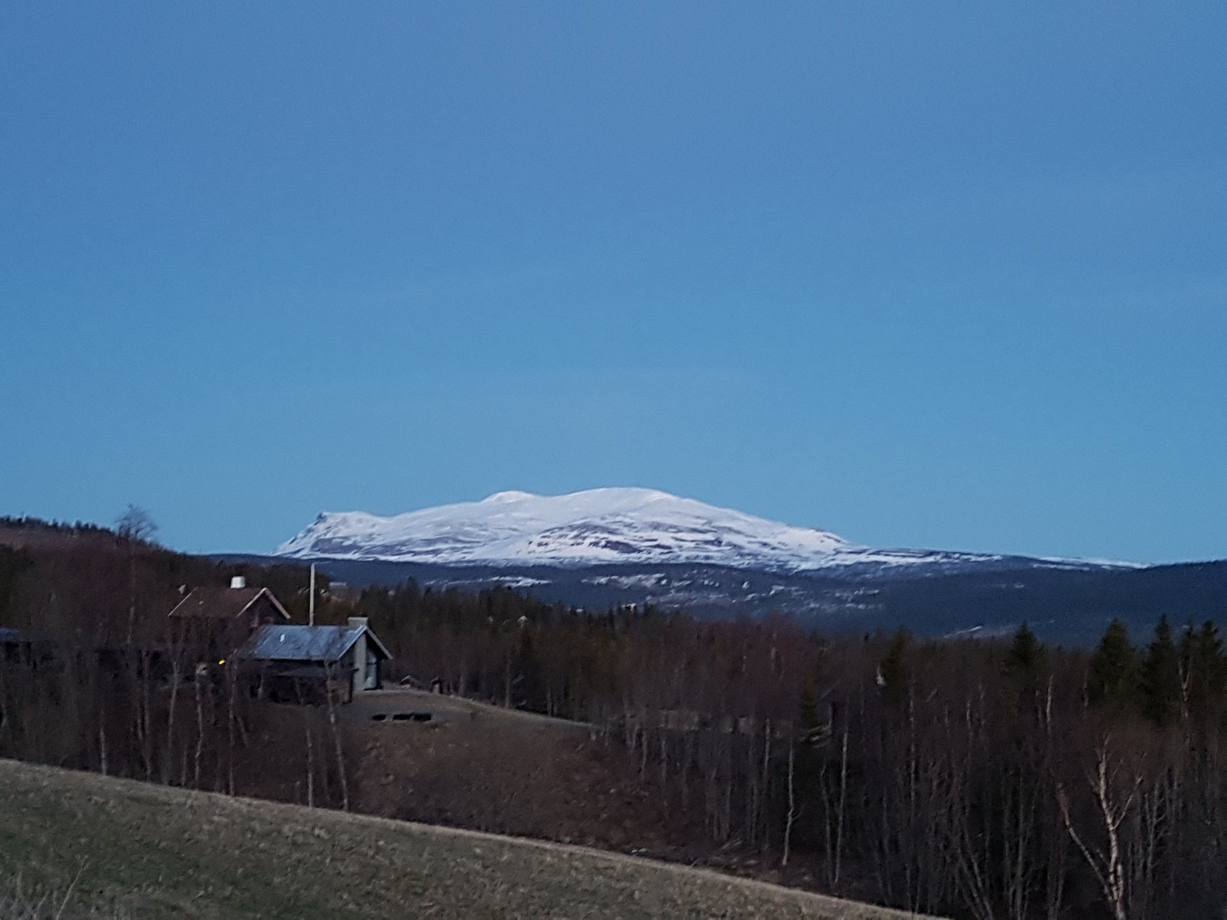 20170513_231222.jpg
