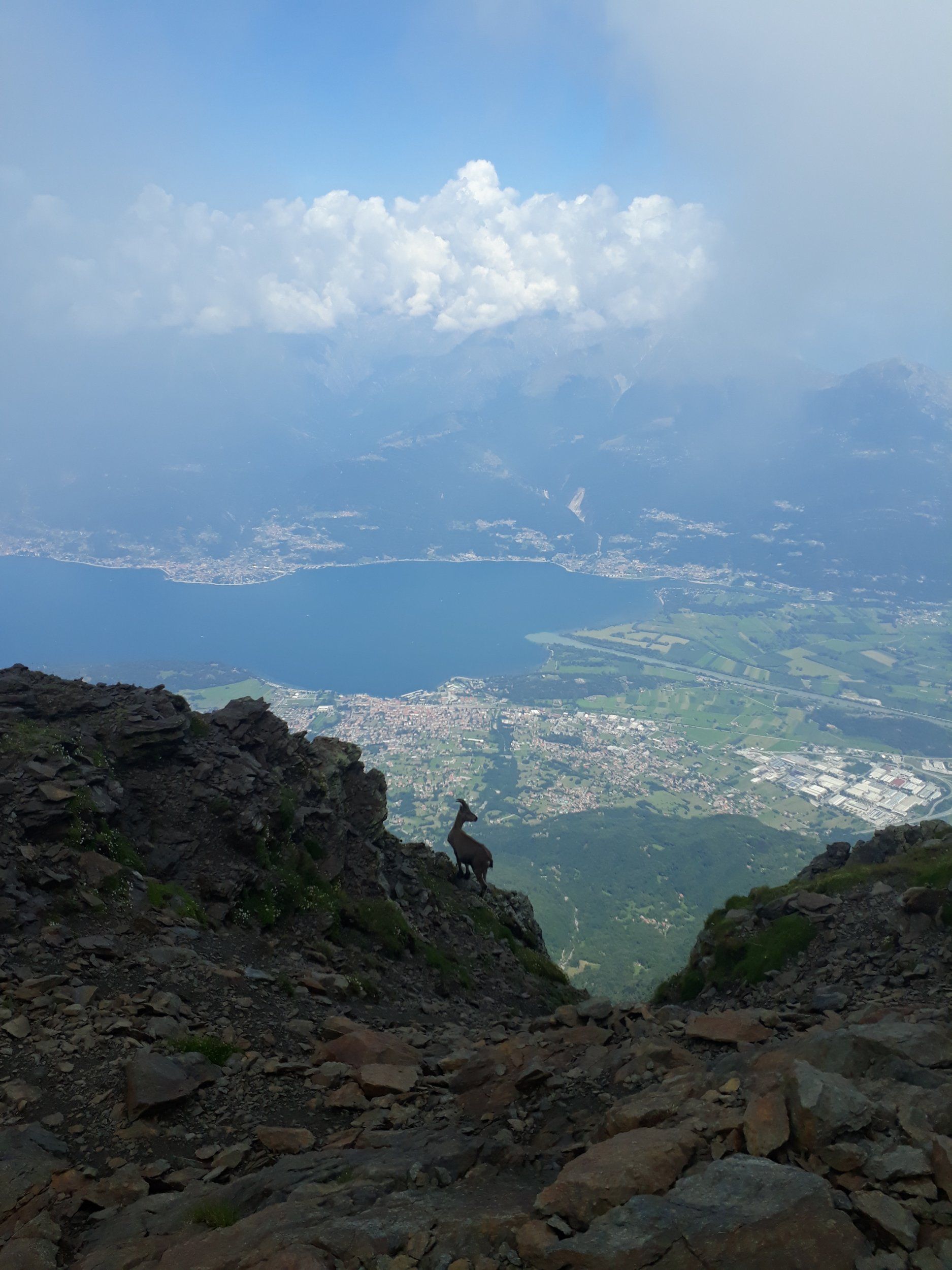 20180727_123249.jpg
