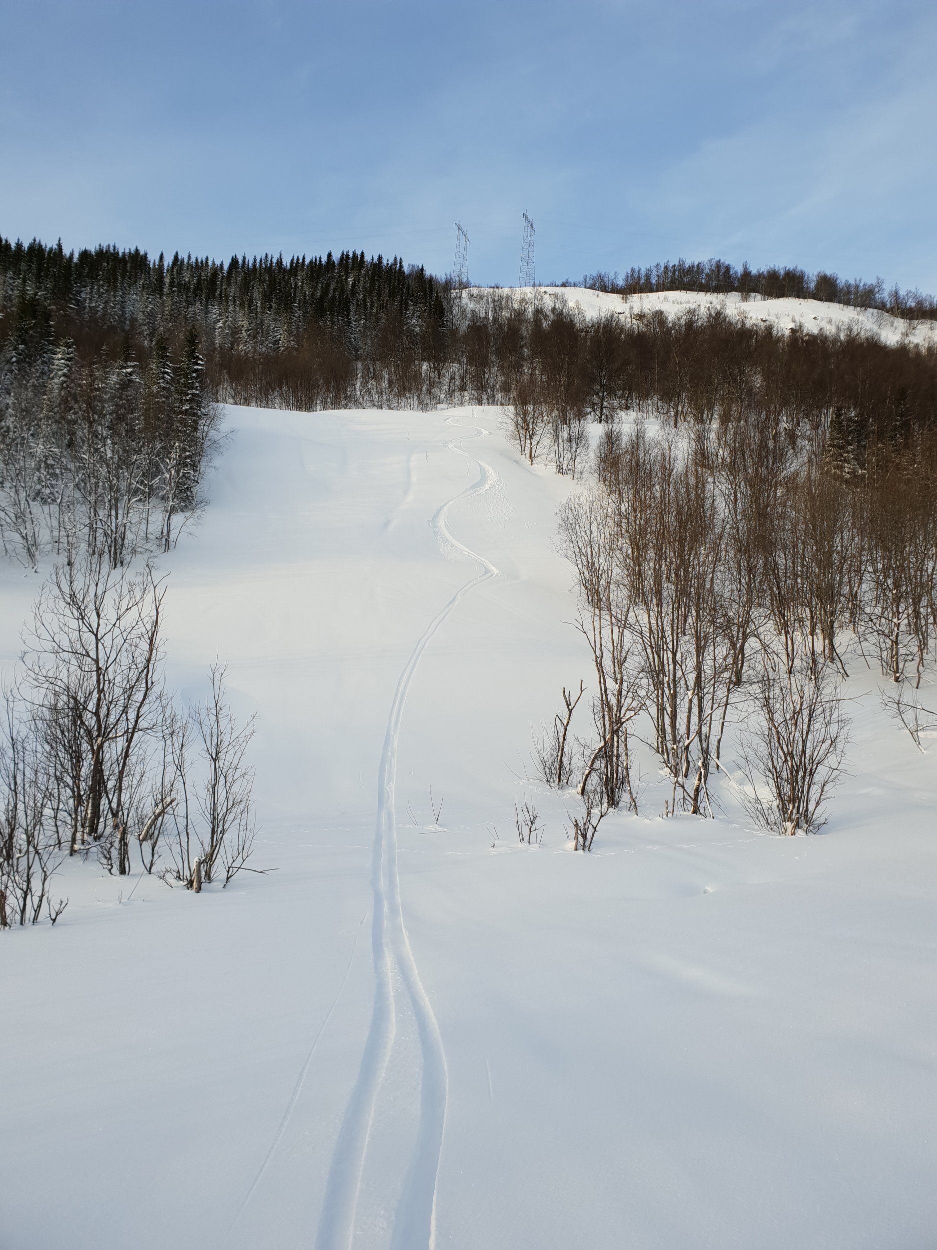 20190213_134709.jpg