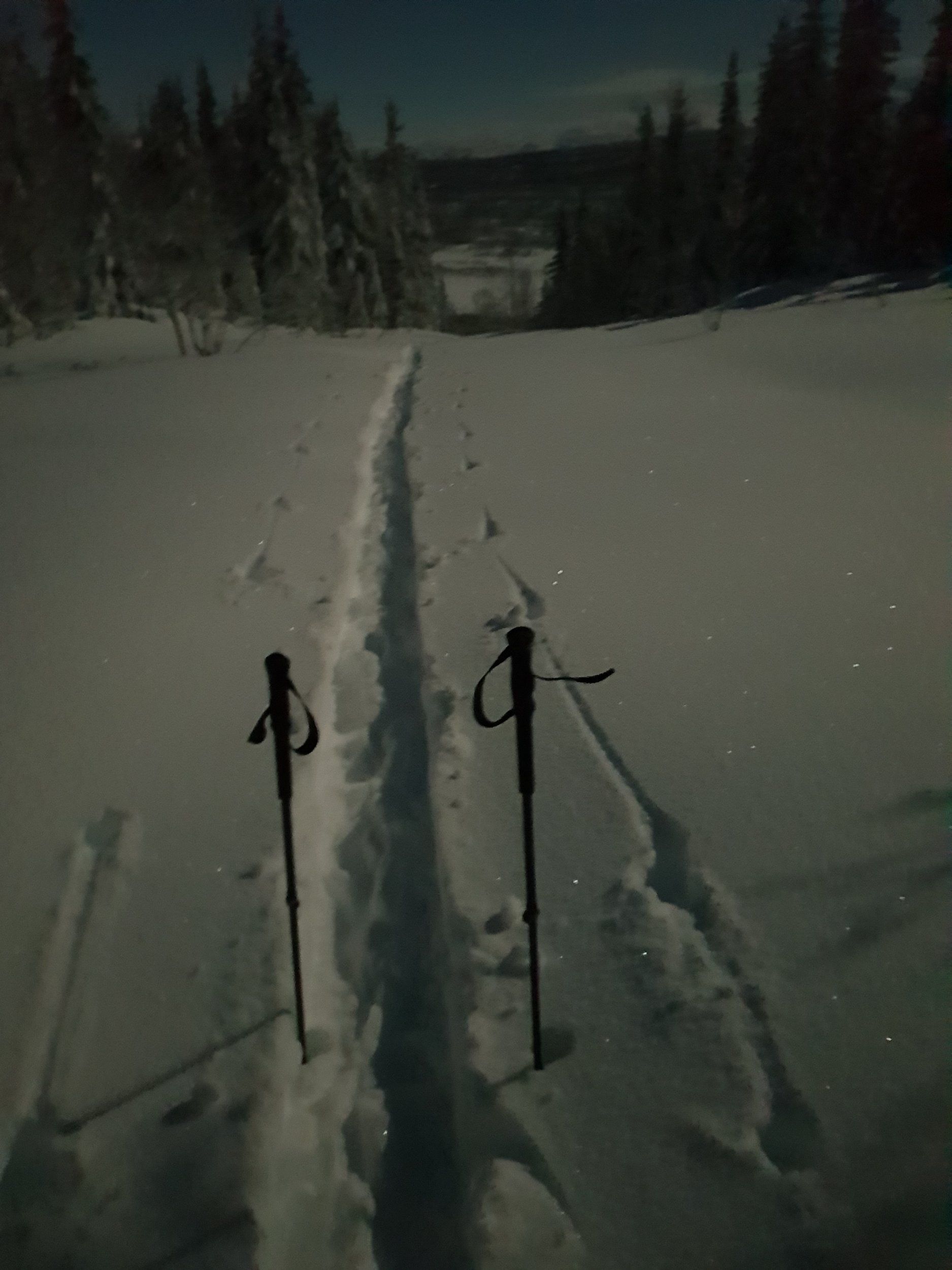 20190219_232111.jpg