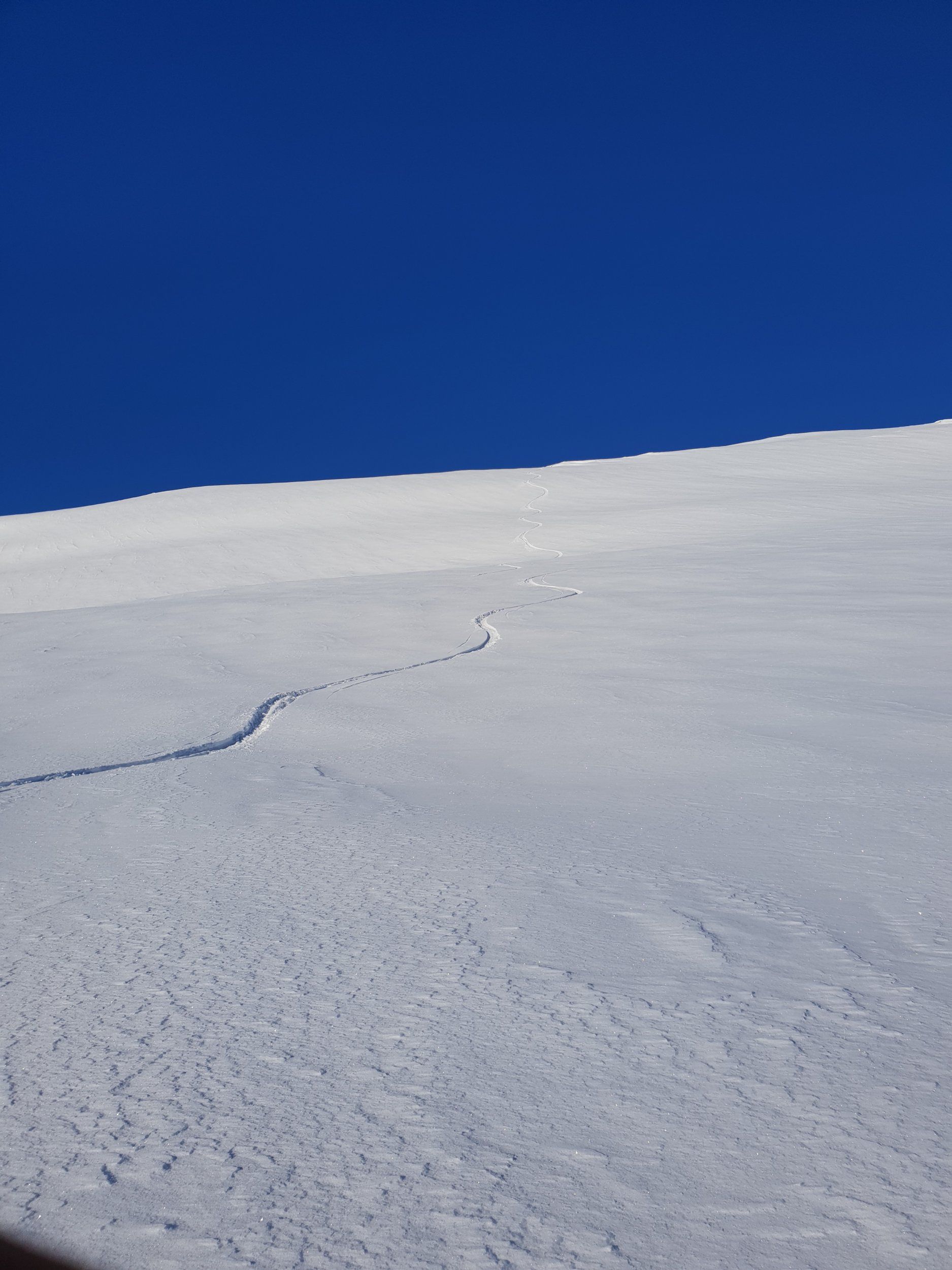 20190302_122406.jpg