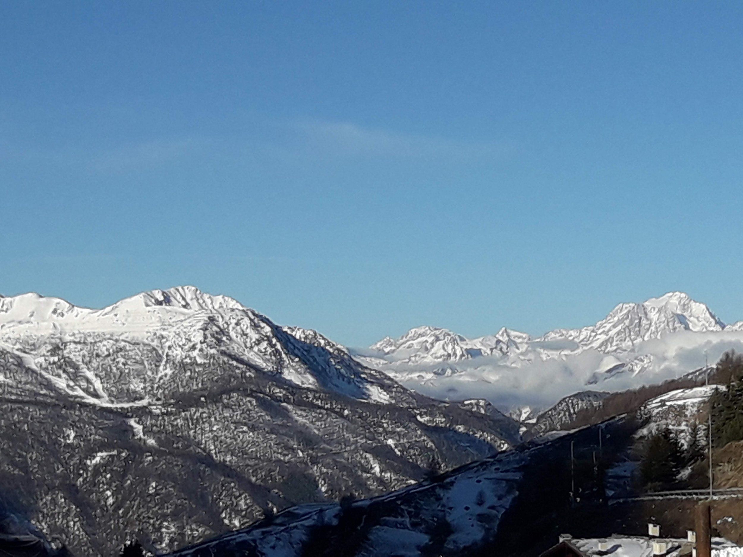 20190308_081559.jpg