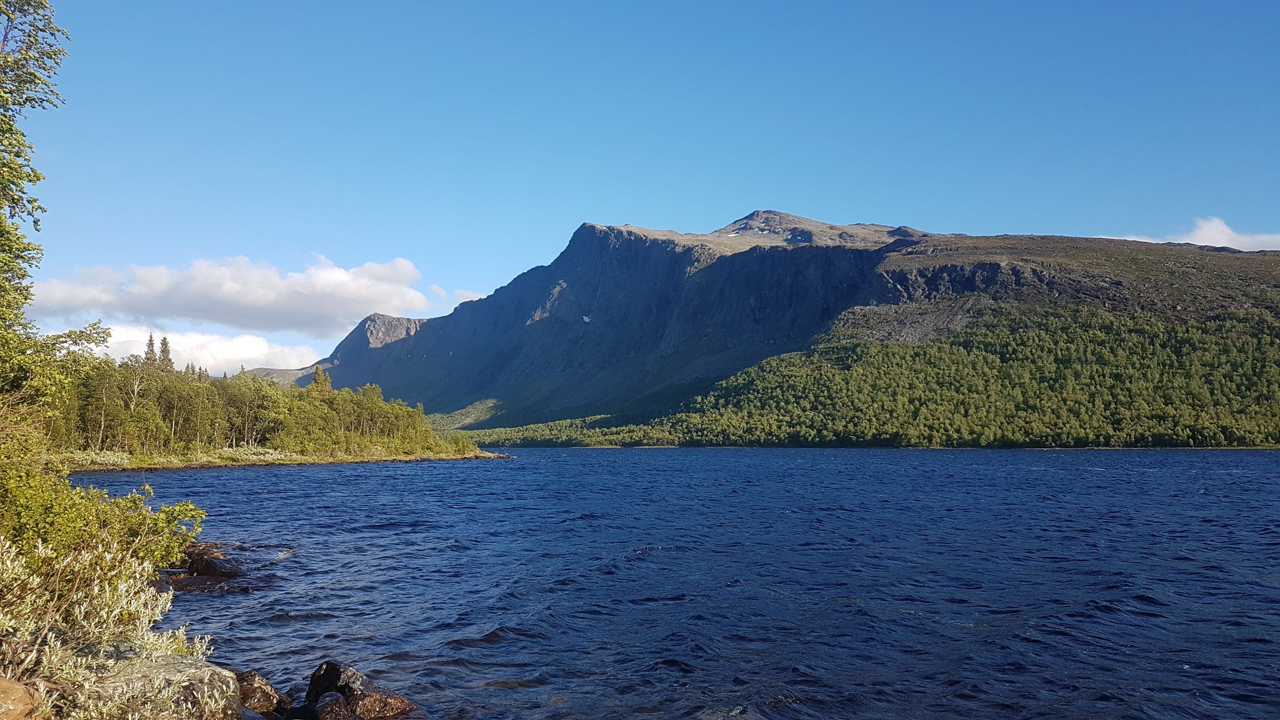20190629_202326.jpg
