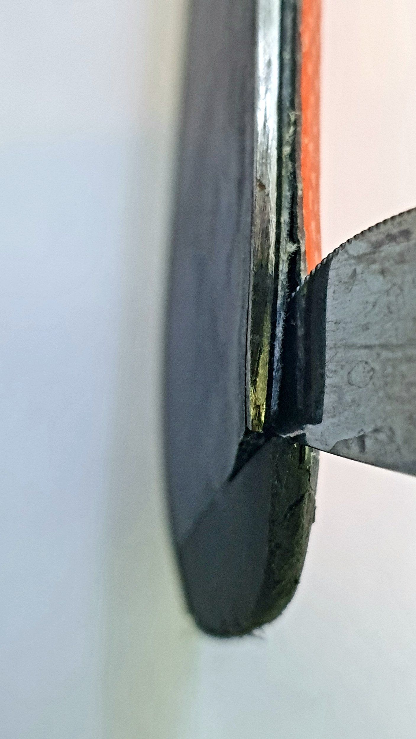 20210302_151022.jpg