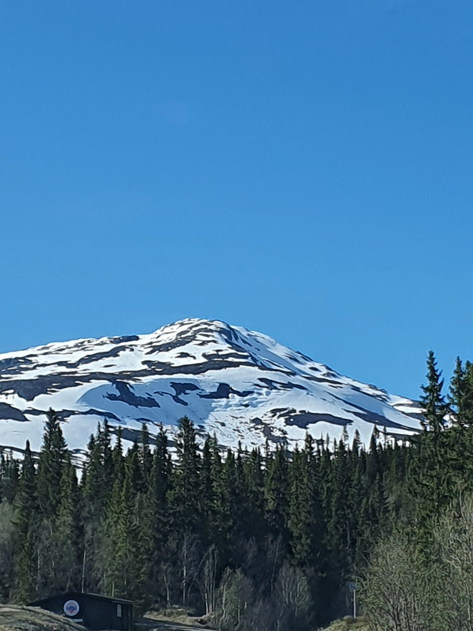 20210528_165237.jpg