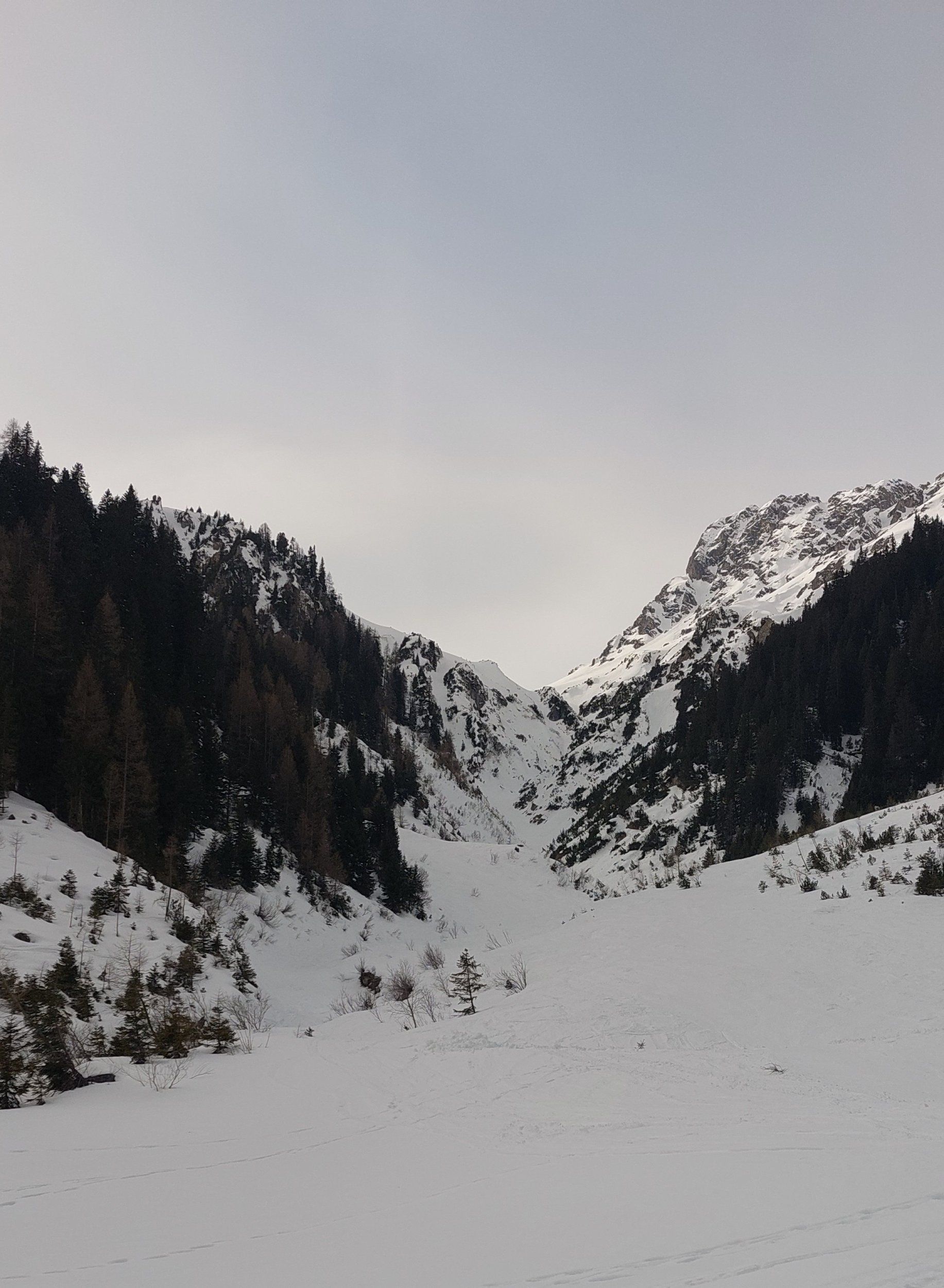 20220302_152303.jpg