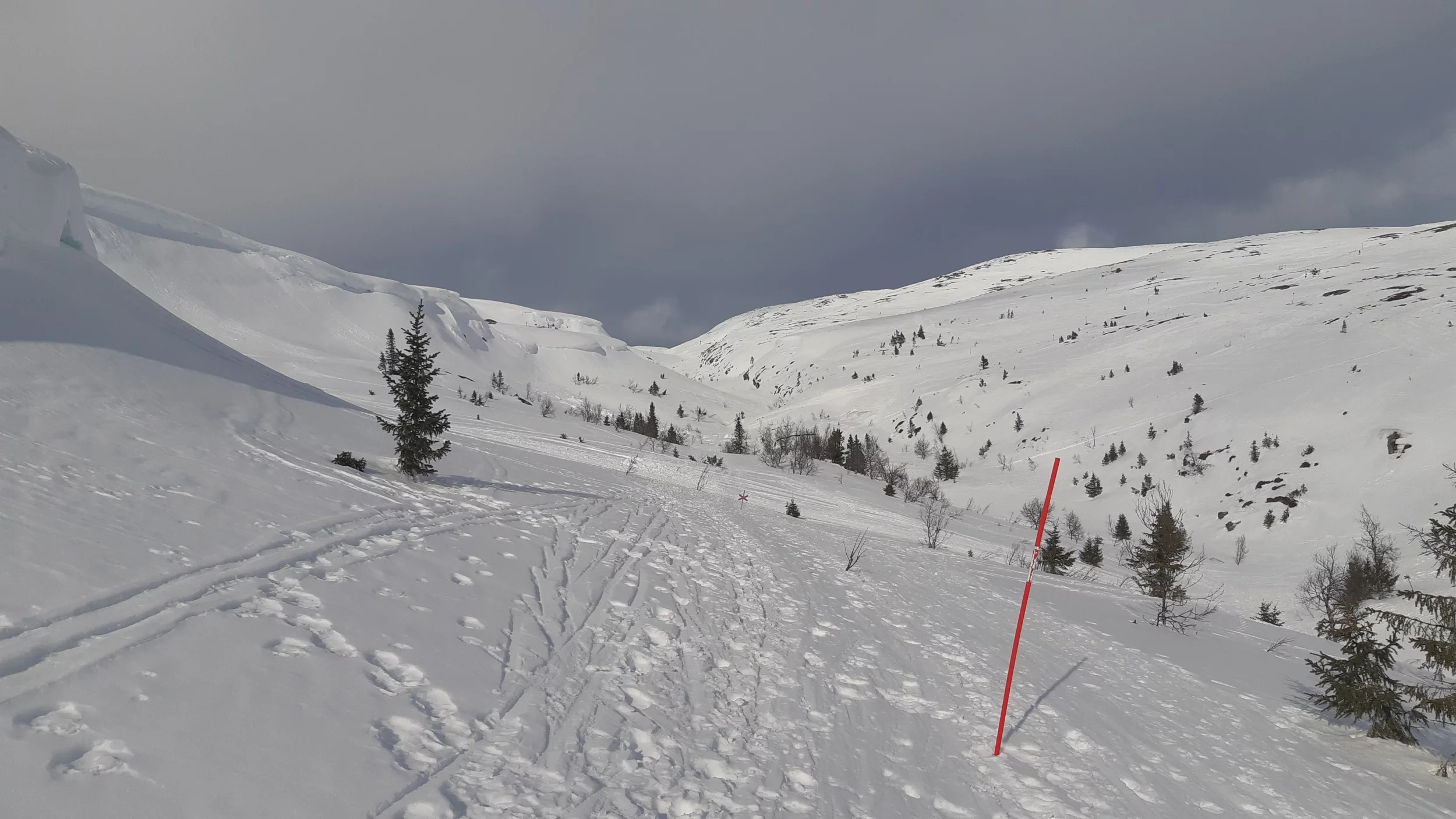 20220318_140323.webp