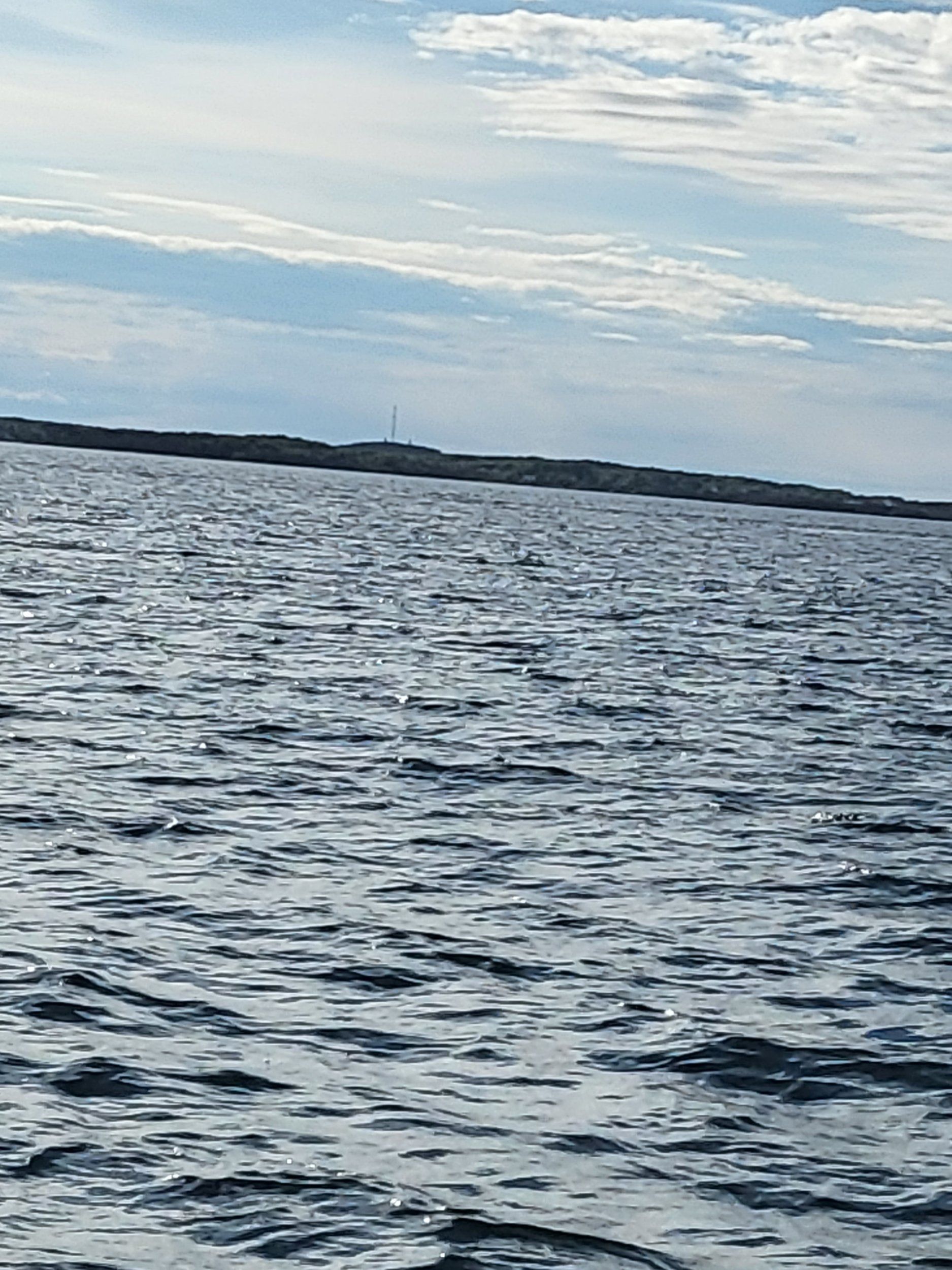 20220528_182859.jpg