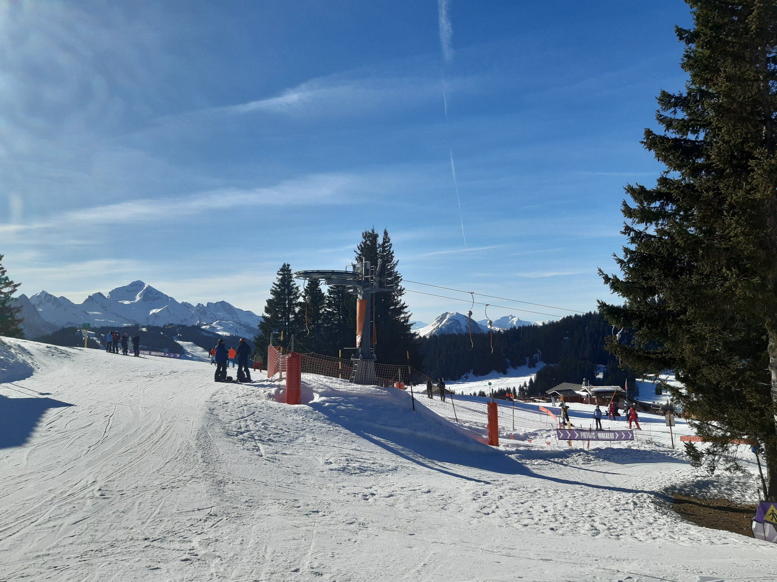 20240205_104445.jpg