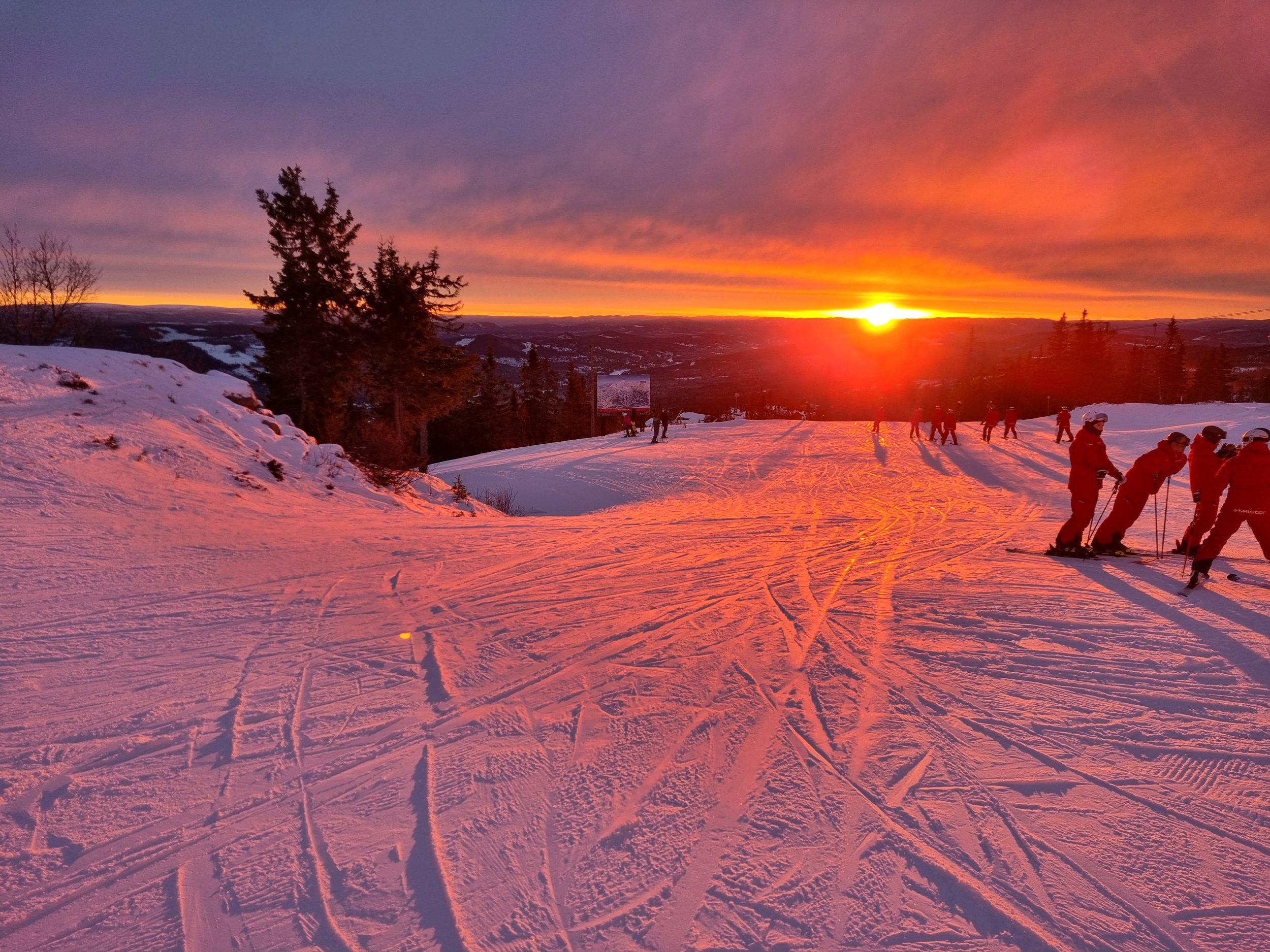 20241215_092015.jpg