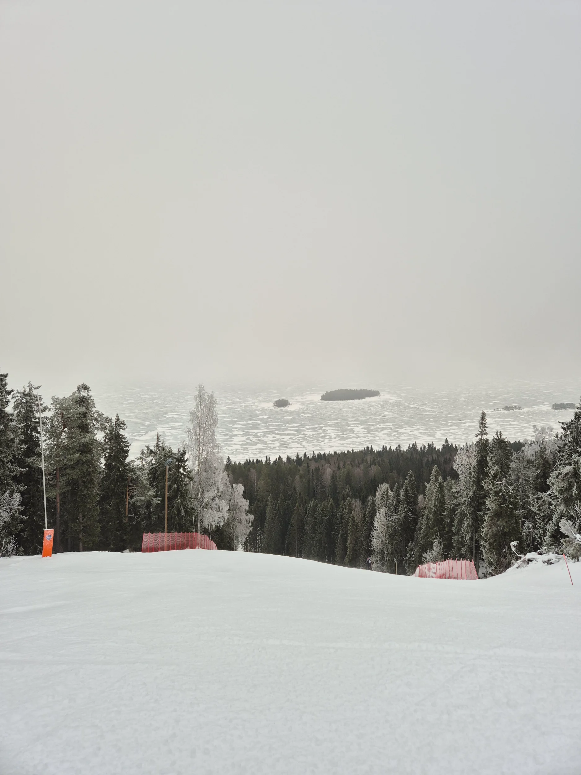 20250208_131441.webp