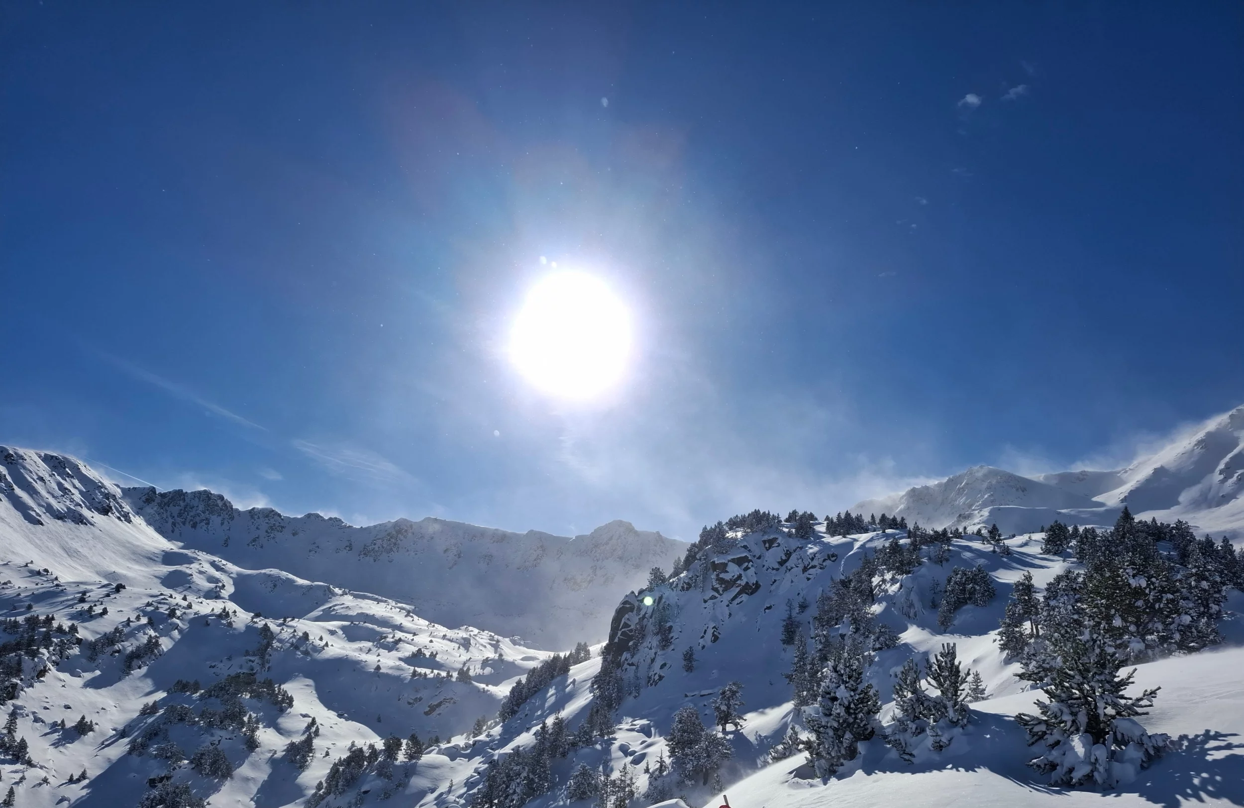 20260121_113947.webp
