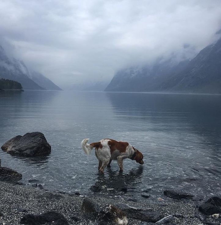 20836B08-5AF8-431D-8592-9E06A63B9C29.jpeg