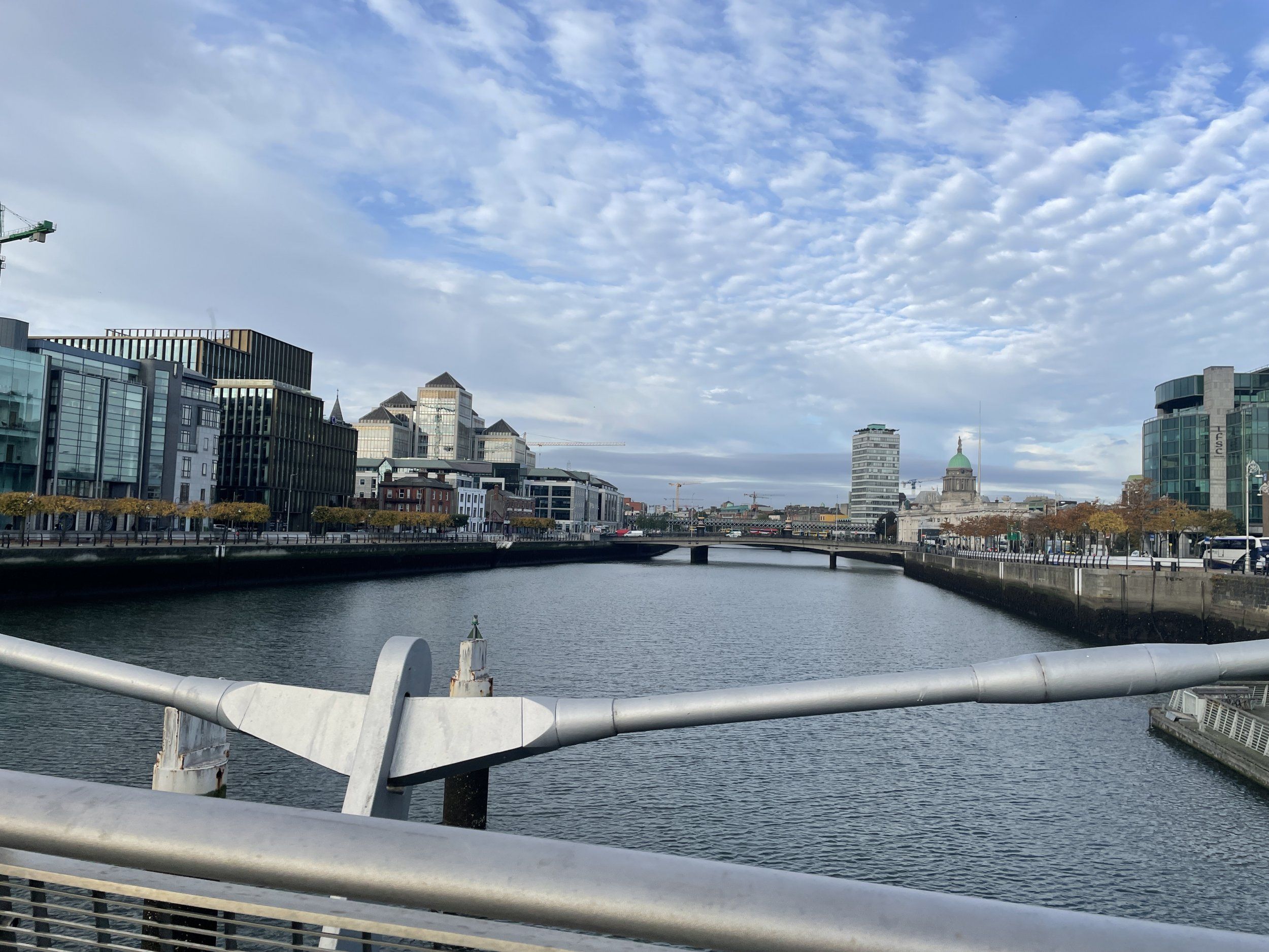 2463B61E-1970-4D0E-8622-A038E75C3B92.jpeg