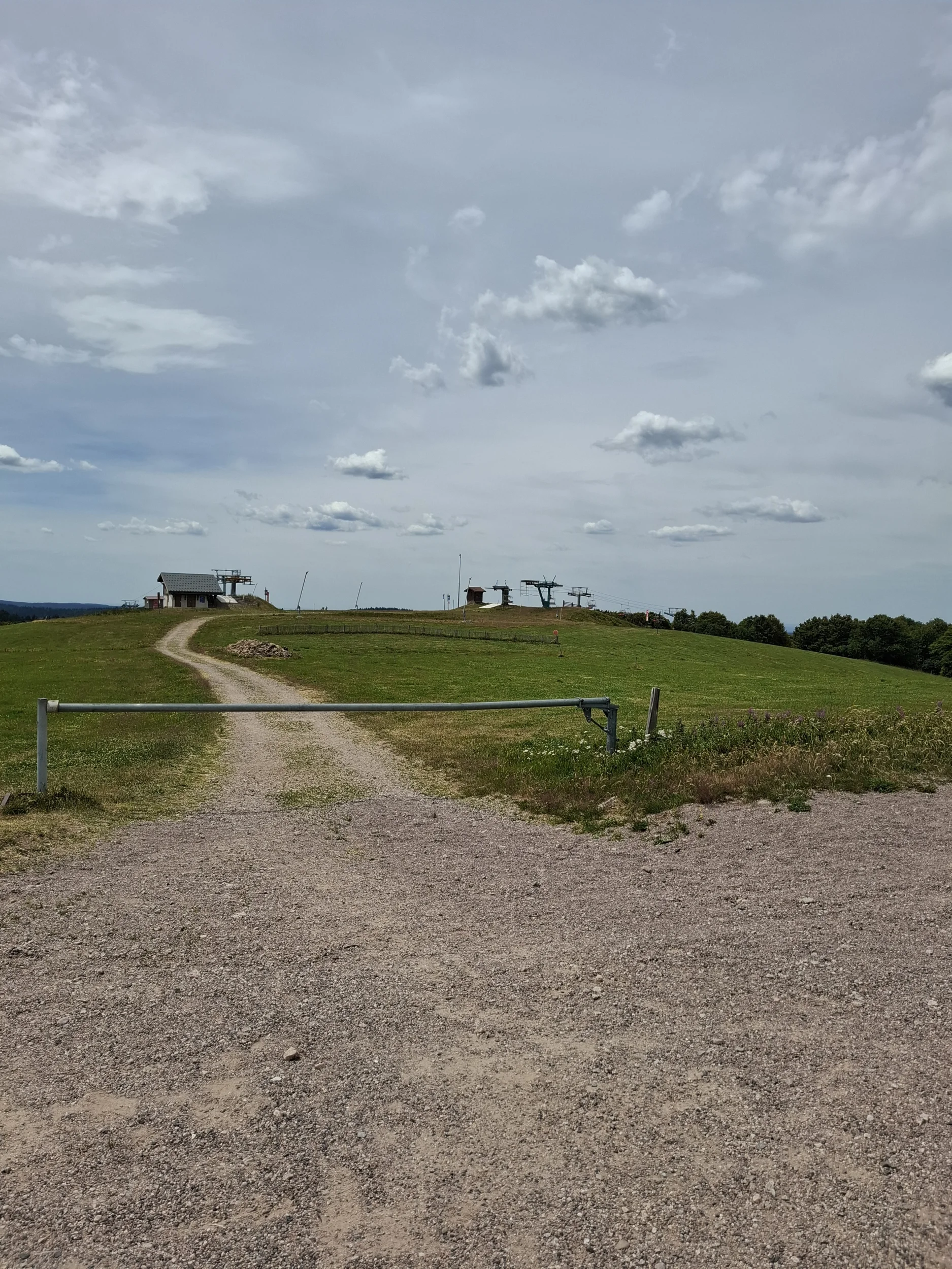 24843dd6-d798-4d11-9d27-26a1a08ab83c-1_all_11414.webp