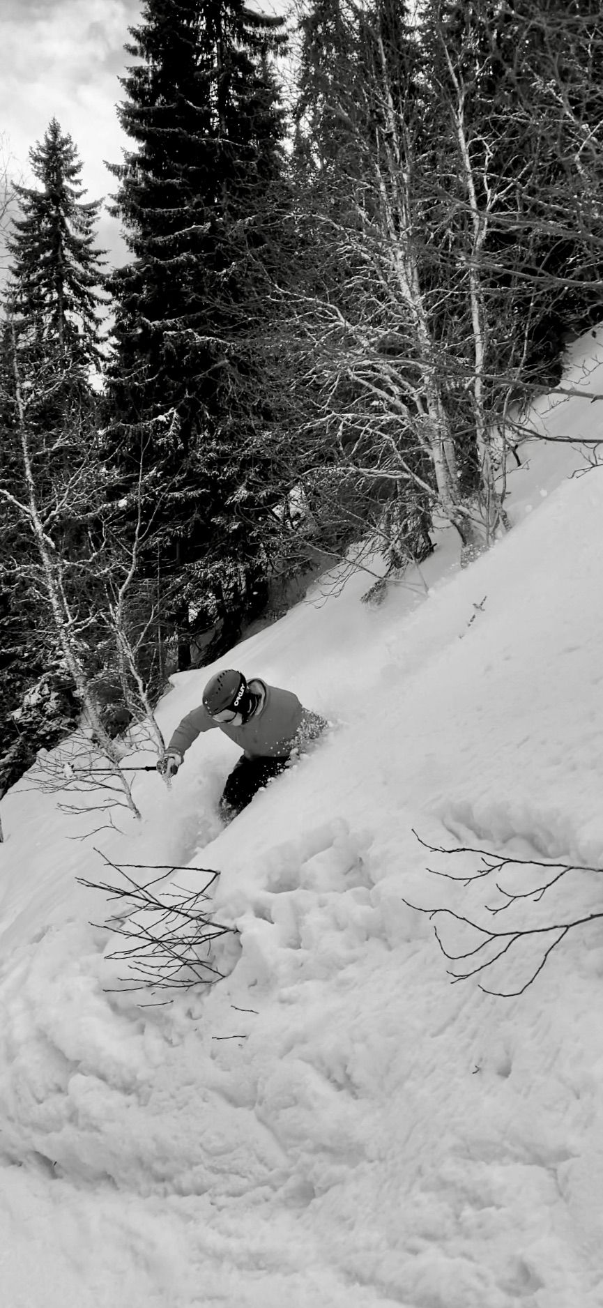 328EE023-9DF5-4352-AB1C-0273233766DF_1_201_a.jpeg