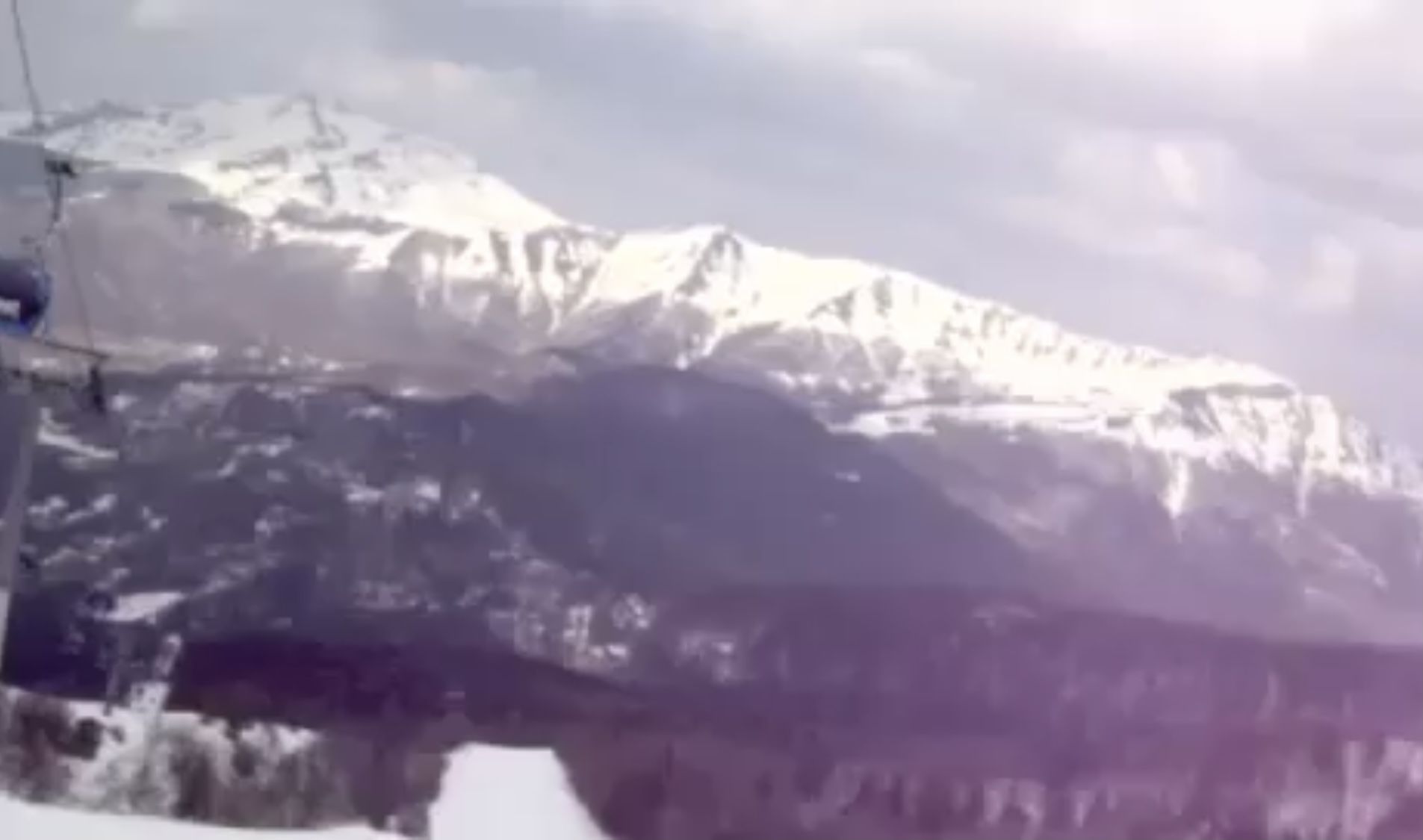 368E065D-2259-41E6-AB11-03567E53FFF2.jpeg