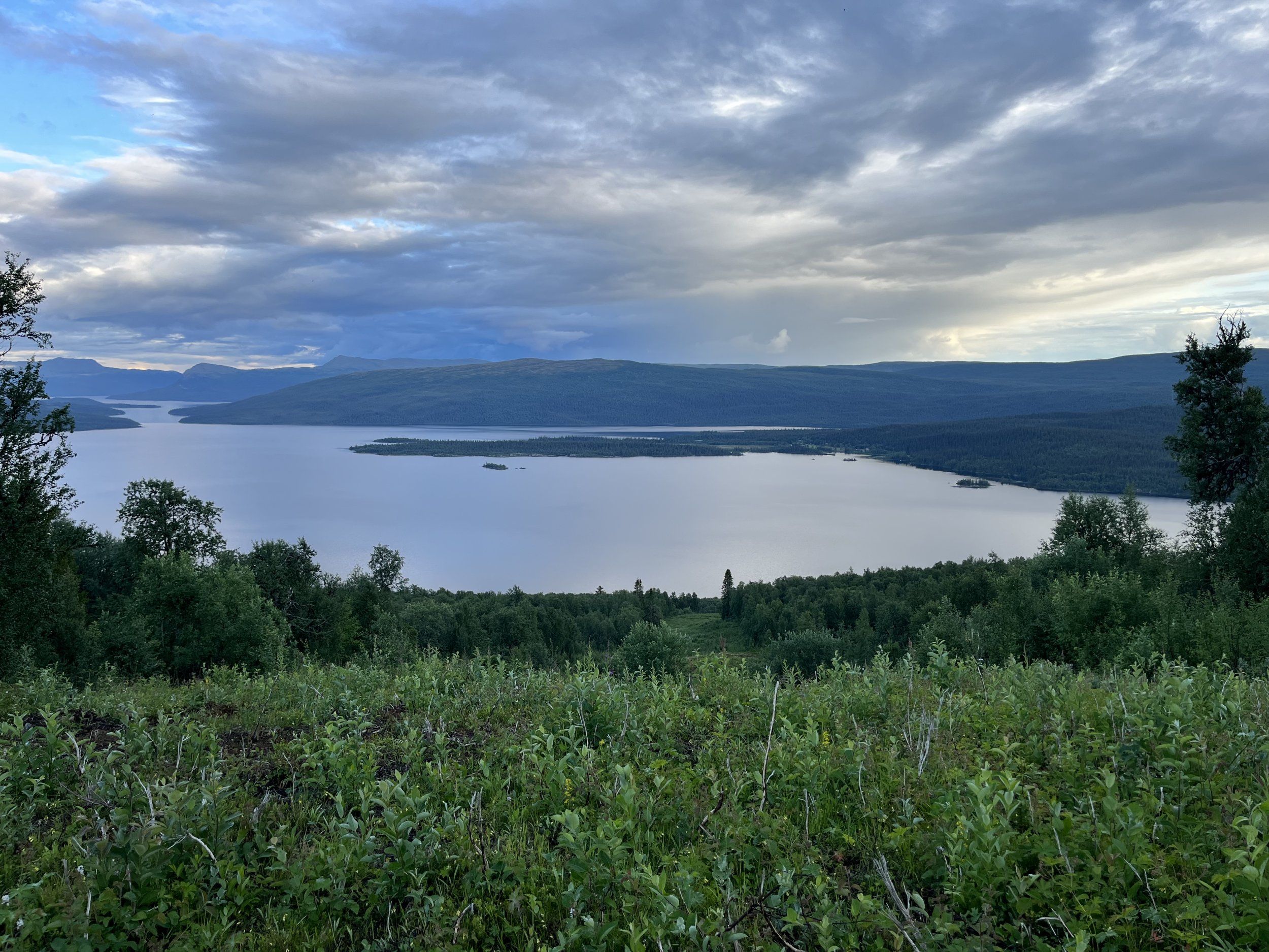 57A54455-8EC7-414C-9DF8-E076F7E01ED7.jpeg
