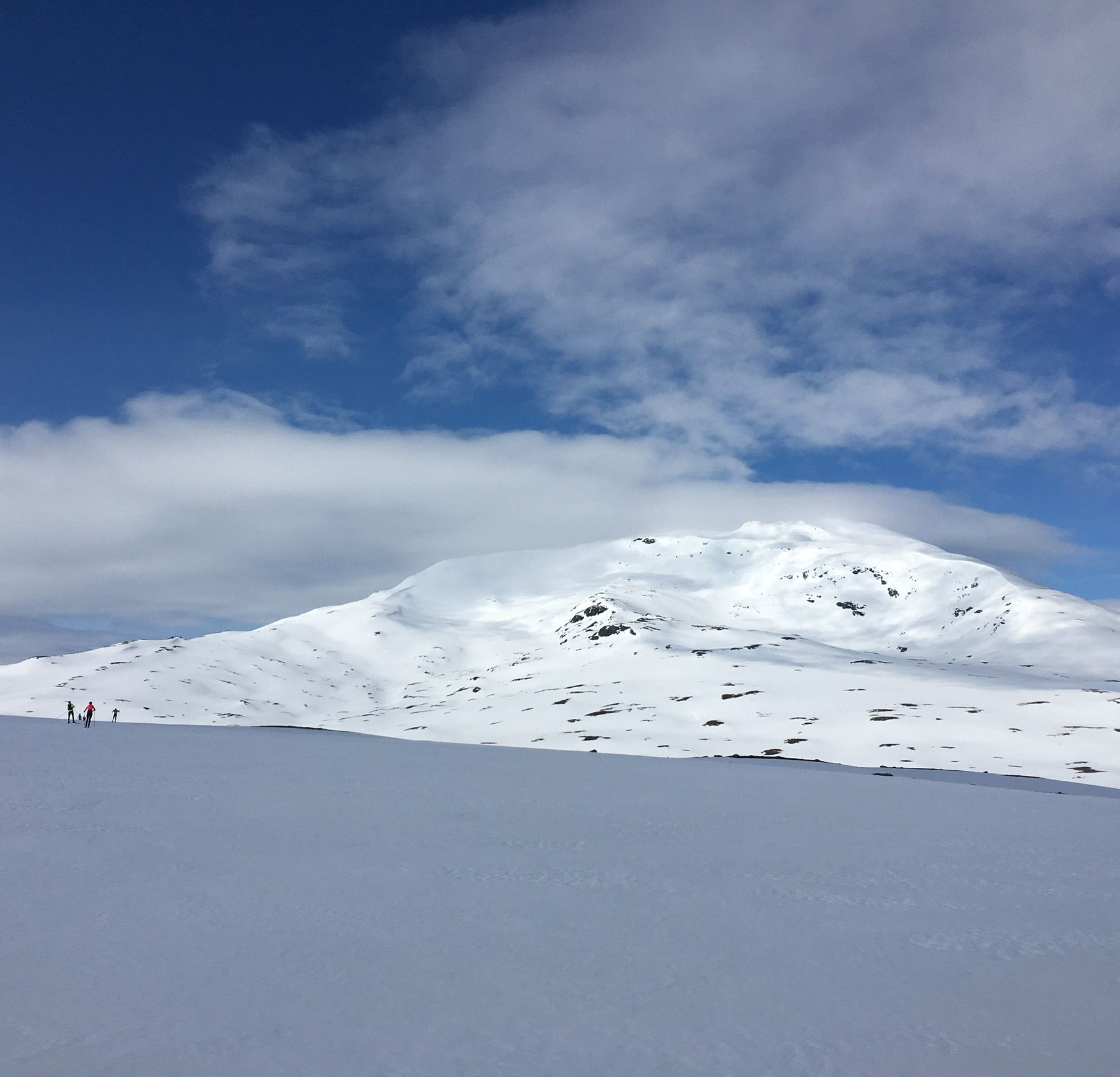 5DDF494C-4424-464C-9656-C187AF600ADA.jpeg