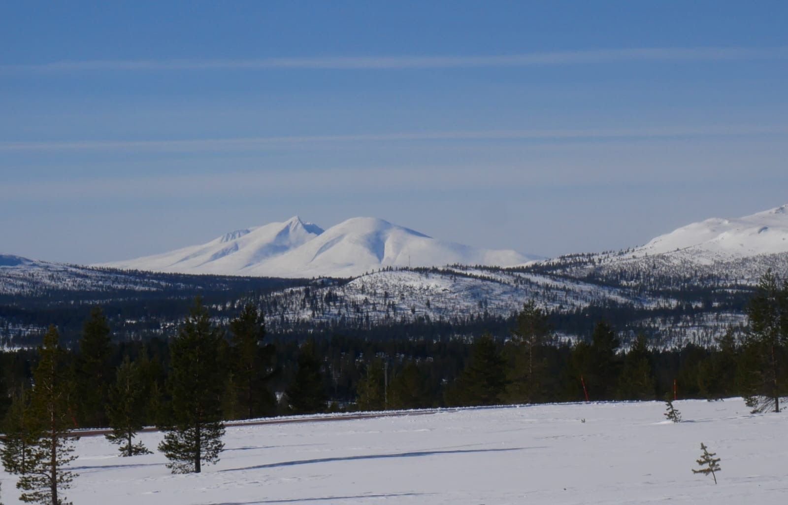 63da8418-c11a-4fcb-9aef-957332e6b1b7.jpeg
