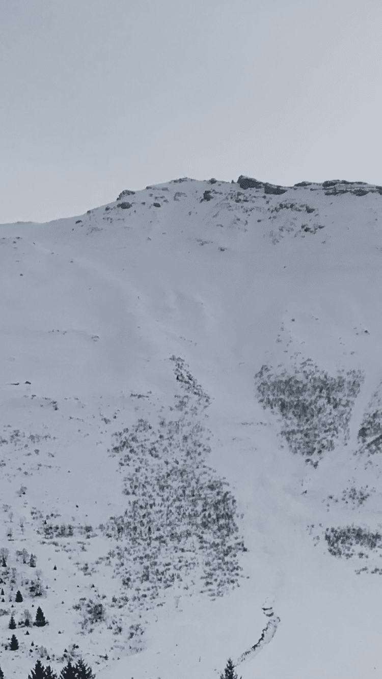 77A794EC-F010-41C2-9870-9A0BC098E238.png